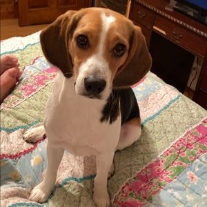 Meet your Posher, Erika